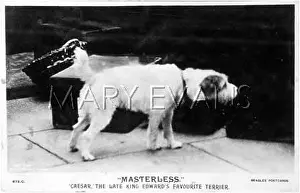 Viis: EDWARD VII'S CAESAR - 3