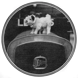 Mascots: Edward VII's dog Caesar becomes a car mascot