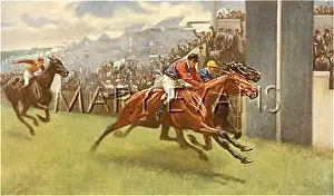 Viis: Edward VII's horse