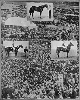 Viis: Edward VII's racing victories