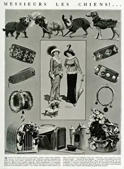 Baskets: Edwardian accessories for dogs 1912