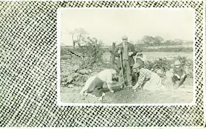 Planting: Edwardian Gardeners