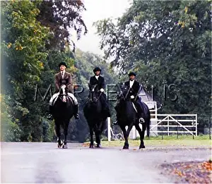 Olliff: EDWARDIAN HORSERIDING