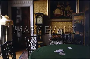 Baize: EDWARDIAN INTERIOR