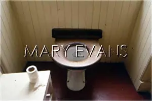 Strategically: EDWARDIAN LAVATORY