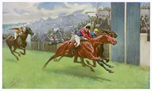Persimmon: Edward's Persimmon - Derby