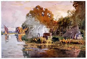 Bure: EEL FISHING / RIVER BURE