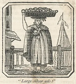 Balances: EEL SELLER