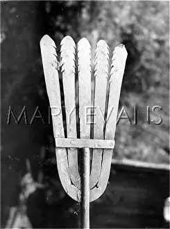 Fenland: AN EEL SPEAR