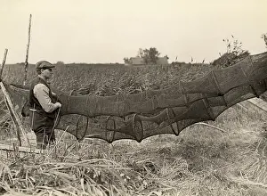 Traps: Eel traps, Norfolk, 1930s