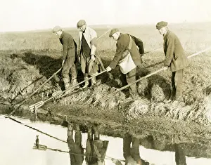 Catchers: EELING IN KENT/1930S