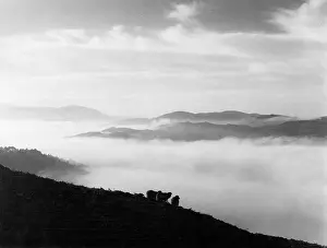 Obscuring: Eerie Coniston Water