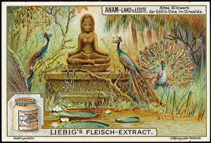 Effigy: EFFIGY IN VIETNAM FOREST