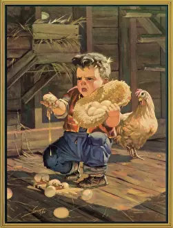 Chore: Egg Collecting