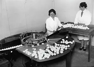 Grader: A egg grader at the International