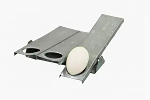 Grades: Egg Sorter