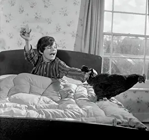 Pyjamas: Eggs in bed hen