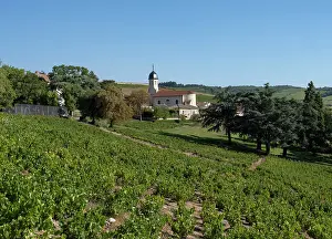 Appellation: Eglise Saint-Germain, Chiroubles, Beaujolais, France