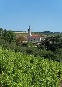 Beaujolais: Eglise Saint-Germain, Chiroubles, Beaujolais, France