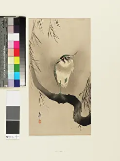Koson: Egret in a tree