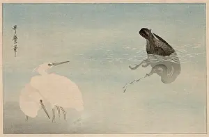 Dives: Two Egrets and a fishing cormorant