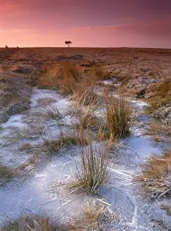 Goathland: Egton Moor