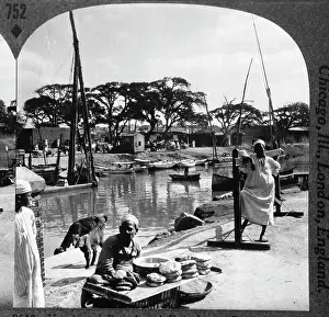 Stereograph: Egypt - Alexandria - Occupations - Vendor