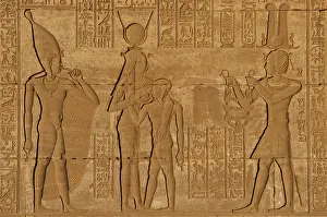 Disc: Egypt. Dendera. Temple complex. Roman Birth House of Mammisi