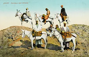Saddles: Egypt - Donkeys & Donkey Drivers