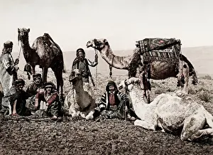 Halt: Egypt, halt of a camel train in the desert
