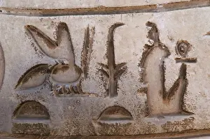 Crux: Egypt. Hieroglyphic writing
