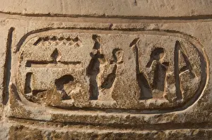 Crux: Egypt. Hieroglyphic writing. Cartridge