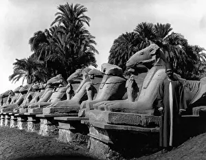 Sphinxes: EGYPT KARNAK