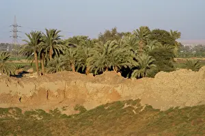 Dendera: Egypt. Landscape outside Dendera Temple