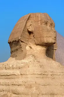 Giza: Egypt. Spinx of Giza