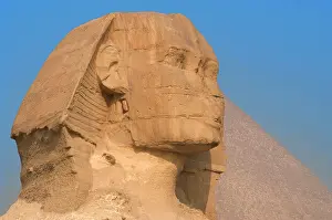 Giza: Egypt. Spinx of Giza