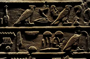 Lotus: Egypt. Stele of General Intef (Antef). Detail. Hieroglyphic