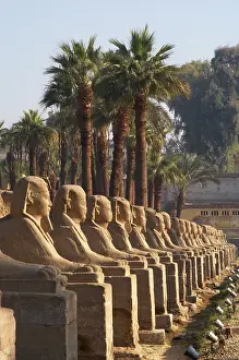 Mithological: EGYPT. TEMPLE OF LUXOR. Sphinxes Avenue. New Kingdom. Ancie