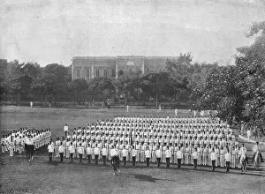 Regimented: Egyptian army