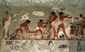 Crocodile: Egyptian Art. Crocodile's hunt. Relief. Mastaba. Necropolis