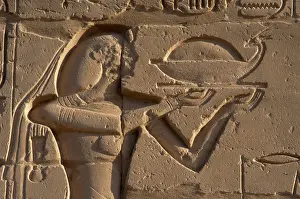 Offerings: Egyptian Art. Karnak. Offerer. Relief