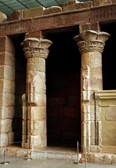 Lotus: Egyptian Art. Temple of Dendur