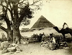 Pyramids: Egyptian and camel with a pyramid behind