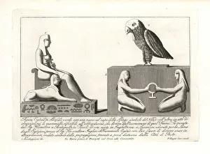 Sparrowhawk: Egyptian gods and goddesses