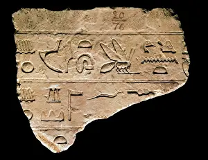 Serpent: Egyptian hieroglyph engraved in stone. National Archaeologic