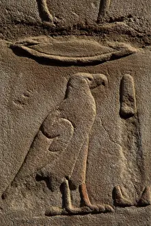 Alphabet: Egyptian hieroglyph shaped like an eagle