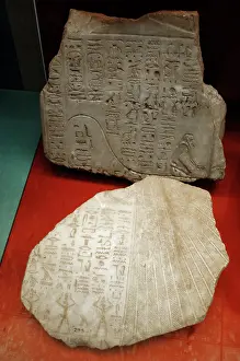 1203: Egyptian hieroglyphic writing
