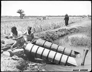 Irrigation: EGYPTIAN IRRIGATION