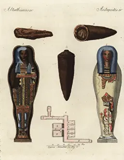 Mummies: Egyptian mummies and coffins