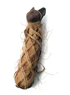 Mummification: Egyptian mummified cat